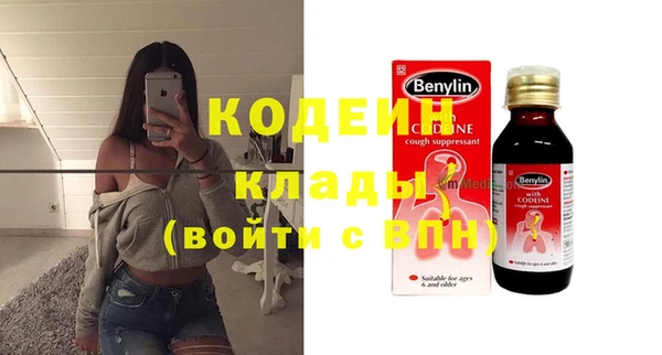 хмурый Арсеньев