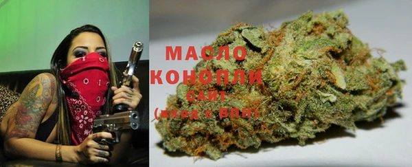 хмурый Арсеньев