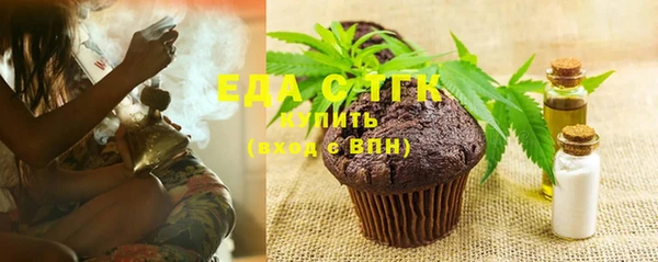 хмурый Арсеньев